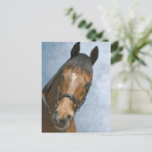 Carte Postale Bonjour, (Debout devant)