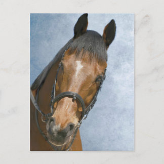 Carte Postale Bonjour,