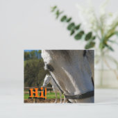 Carte Postale Bonjour ! (Debout devant)
