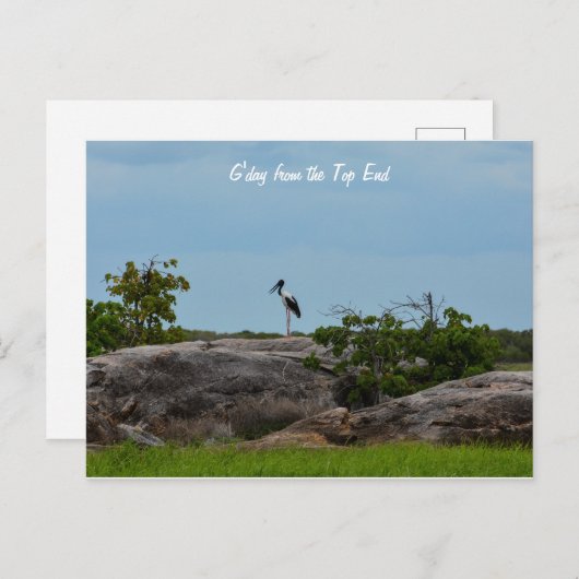 Carte Postale Bonjour (Devant / Derrière)