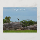 Carte Postale Bonjour (Devant)