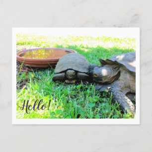 Carte Postale Bonjour !