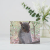 Carte Postale Bonjour ! (Debout devant)