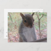 Carte Postale Bonjour ! (Devant / Derrière)