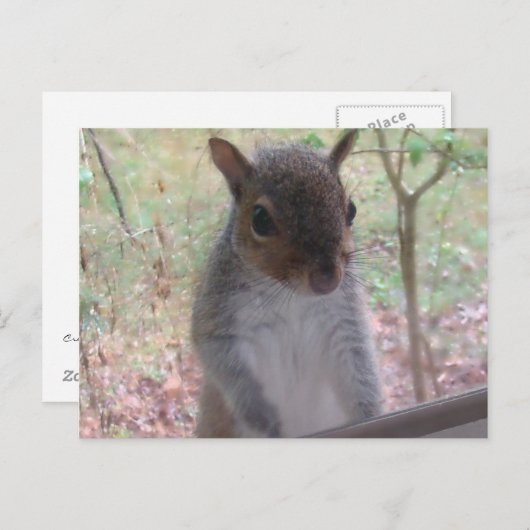 Carte Postale Bonjour ! (Devant / Derrière)