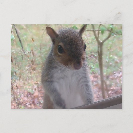 Carte Postale Bonjour ! (Devant)