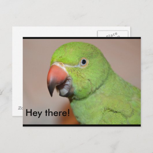 Carte Postale Bonjour ! (Devant / Derrière)