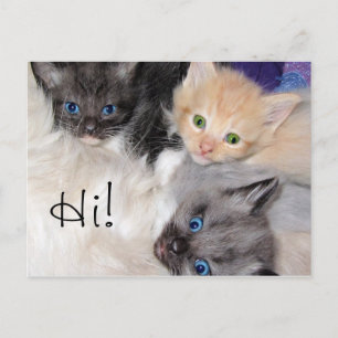 Carte Postale Bonjour !