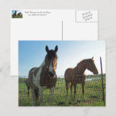 Carte Postale Bonjour (Devant / Derrière)