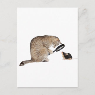 Carte Postale Bonjour ! !