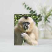 Carte Postale Bonjour (Debout devant)