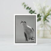 Carte Postale Bonjour (Debout devant)