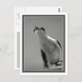 Carte Postale Bonjour (Devant / Derrière)