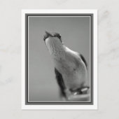 Carte Postale Bonjour (Devant)