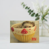 Carte Postale Bonjour ! (Debout devant)