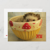 Carte Postale Bonjour ! (Devant / Derrière)