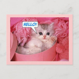 Carte Postale Bonjour 