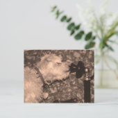 Carte Postale Bonjour (Debout devant)