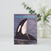 Carte Postale Bonjour  (Debout devant)