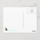 Carte Postale Bonjour  (Dos)