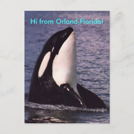 Carte Postale Bonjour  (Devant)