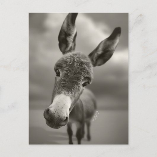 Carte Postale Bonjour (Devant)