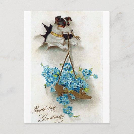 Carte Postale Bonjour Anniversaire Chien mignon et Chaussure Vin (Devant)