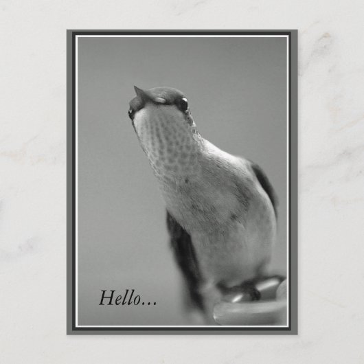 Carte Postale Bonjour...Avec Texte (Devant)