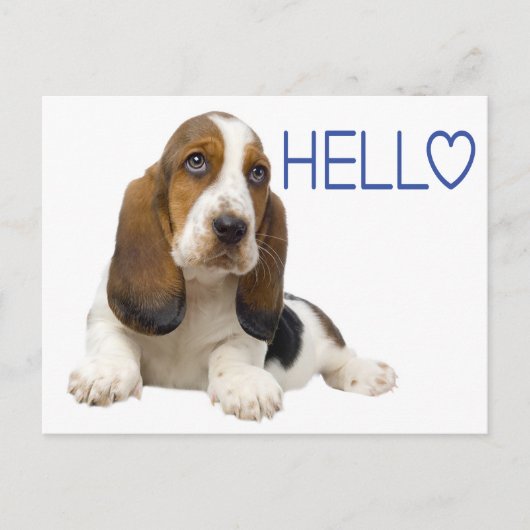 Carte Postale Bonjour Basset Hound Chien Chien Chien Bleu Penser (Devant)