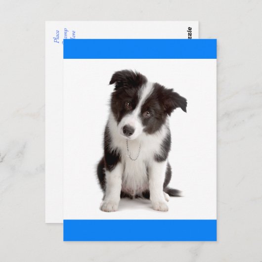 Carte Postale Bonjour Bordure Collie Chien Chien Chien Chien Chi (Devant / Derrière)
