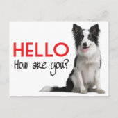 Carte Postale Bonjour Bordure Collie Chien Chien Chien Chien Pup (Devant)
