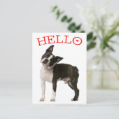 Carte Postale Bonjour Boston Terrier Chien Chien Chien Chien Rou (Debout devant)