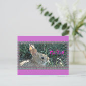 Carte Postale Bonjour Bunny (Debout devant)