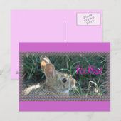 Carte Postale Bonjour Bunny (Devant / Derrière)