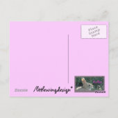 Carte Postale Bonjour Bunny (Dos)