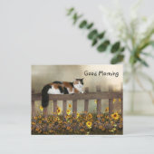 Carte Postale Bonjour calico kitty (Debout devant)