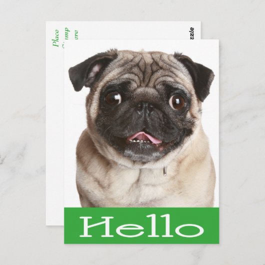 Carte Postale Bonjour Carlin Chien Chien Chien Chien Salutation  (Devant / Derrière)