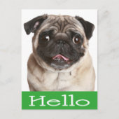 Carte Postale Bonjour Carlin Chien Chien Chien Chien Salutation  (Devant)