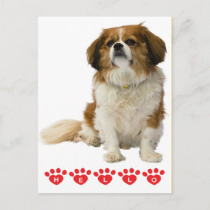 Carte Postale Bonjour Cavalier King Charles Chien Rose