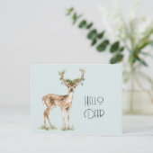 Carte Postale Bonjour Cerf (Debout devant)