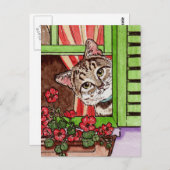 Carte Postale Bonjour chat (Devant / Derrière)