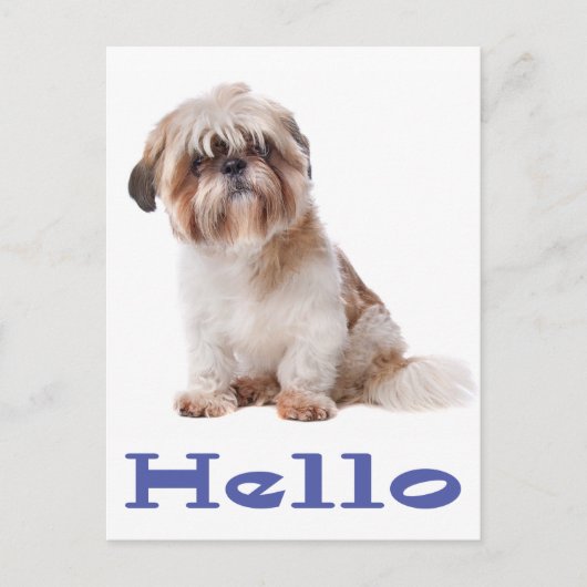 Carte Postale Bonjour Chien Chien Chien Chien Chien Chien Chien  (Devant)