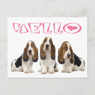 Carte Postale Bonjour chiot Basset Hound Cœur Rose
