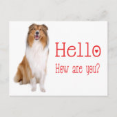 Carte Postale Bonjour Collie Chien Chien Chien Chien Chien Pensa (Devant)