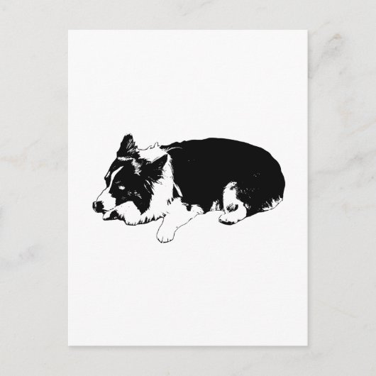 Carte Postale Bonjour croquant, corgi calme (Devant)