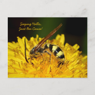 Carte Postale Bonjour D'Abeille Sur Fleur Dandelion Jaune