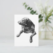 Carte Postale Bonjour de À feuillage persistant Corners (Debout devant)