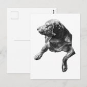 Carte Postale Bonjour de À feuillage persistant Corners (Devant / Derrière)