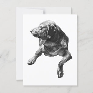 Carte Postale Bonjour de À feuillage persistant Corners