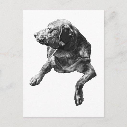 Carte Postale Bonjour de À feuillage persistant Corners (Devant)